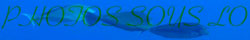 un site sympa d'un bon compagnon de plonge sous marine